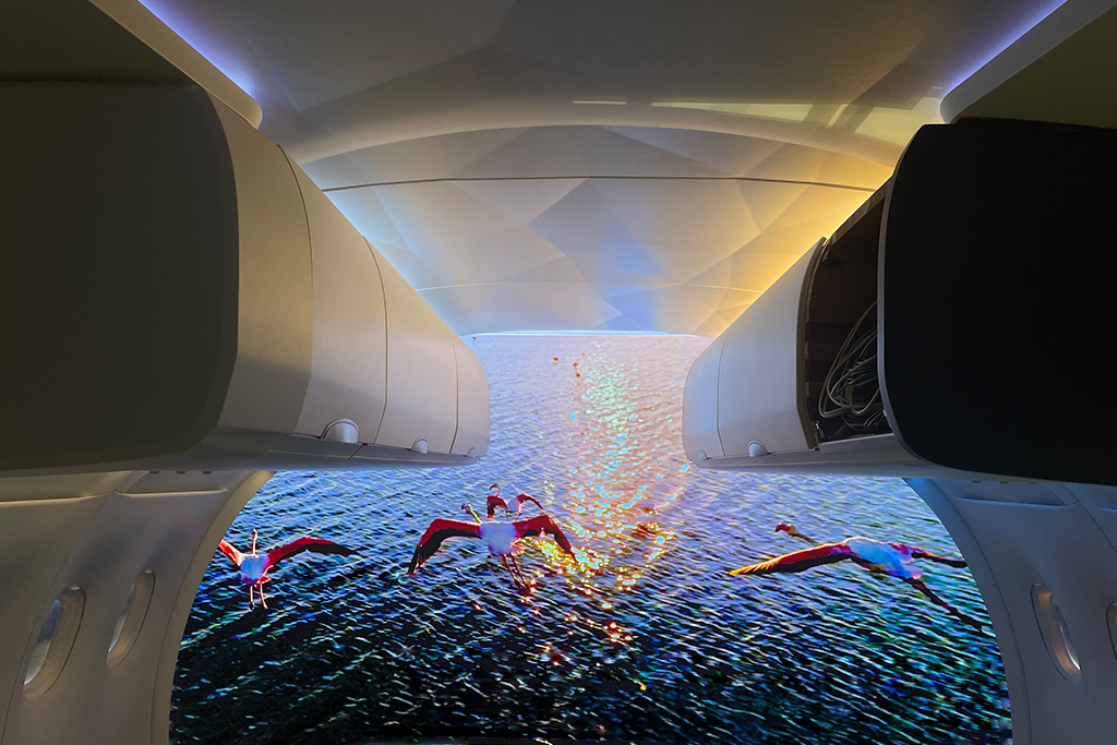 Großaufnahme von fliegenden Flamingos über dem Meer bei Sonnenuntergang mit passender Lichtstimmung in Flugzeugkabine